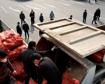 微信图片_20200203140708.gif
