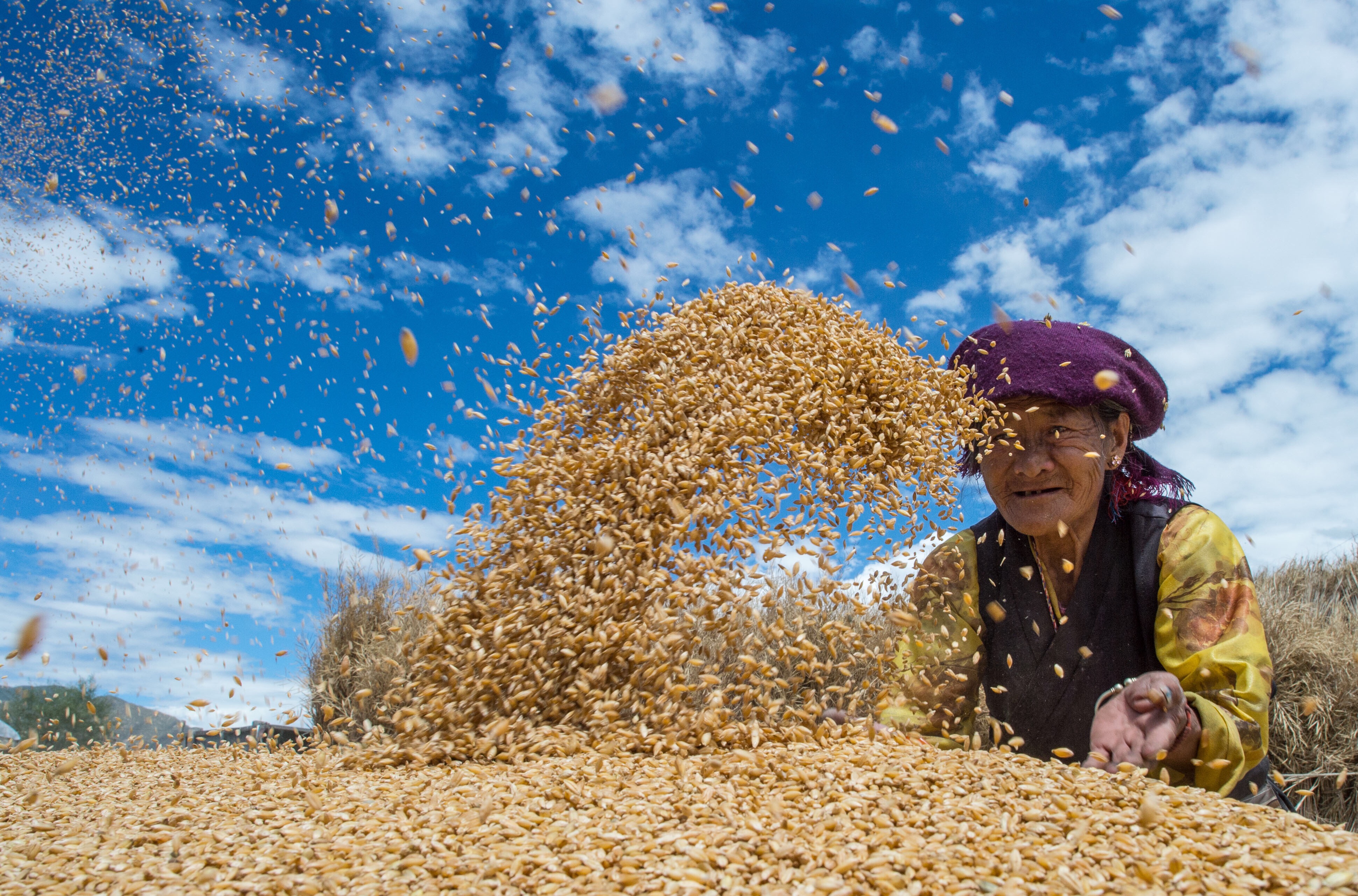 阔步走在新时代康庄大道上建设团结富裕文明和谐美丽