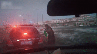 640 (7).gif